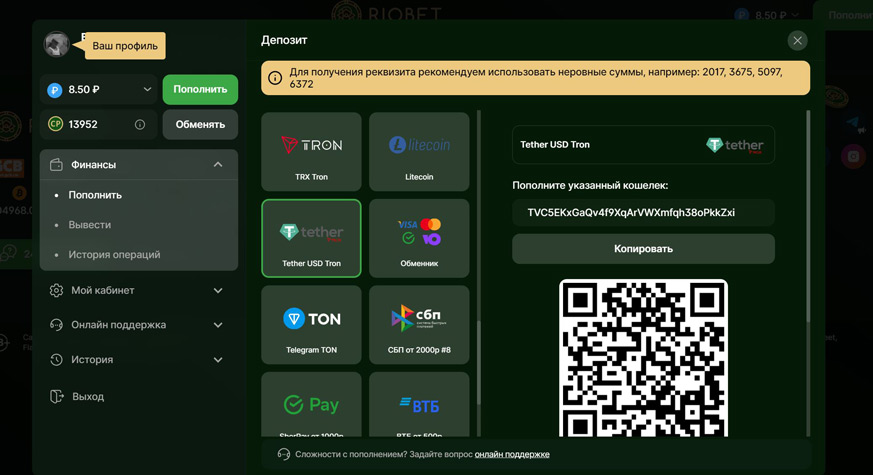 как вывести деньга на криптовалюту в казино Riobet
